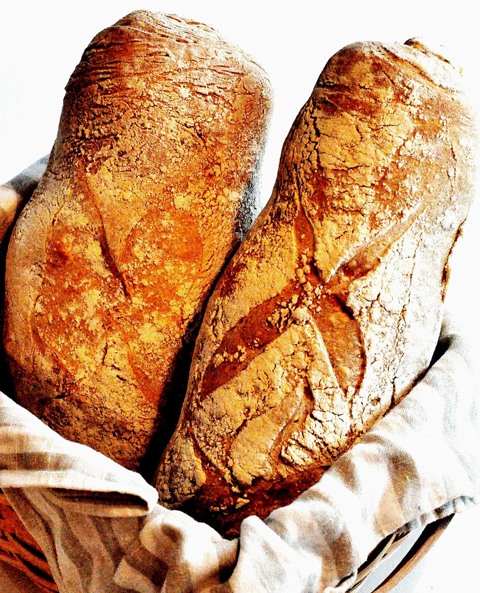 Italian Loaf Bread
 Love at first loaf Rustic Italian Bread With Durum