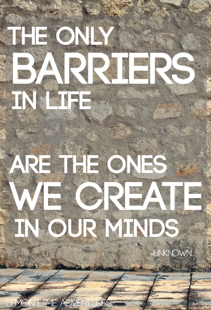 Life Goals Quotes
 Quotes About Barriers In Life QuotesGram