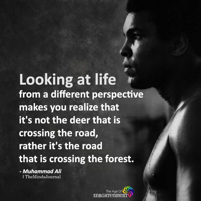 Life Perspective Quotes
 Looking At Life From A Different Perspective