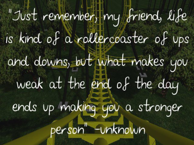 Life Ups And Down Quotes
 Quotes about Friendship ups and downs 16 quotes