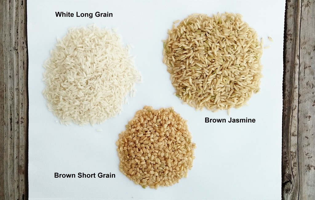 Long Grain Vs Short Grain Brown Rice
 Grains White Rice vs Brown Rice – Hearty Smarty