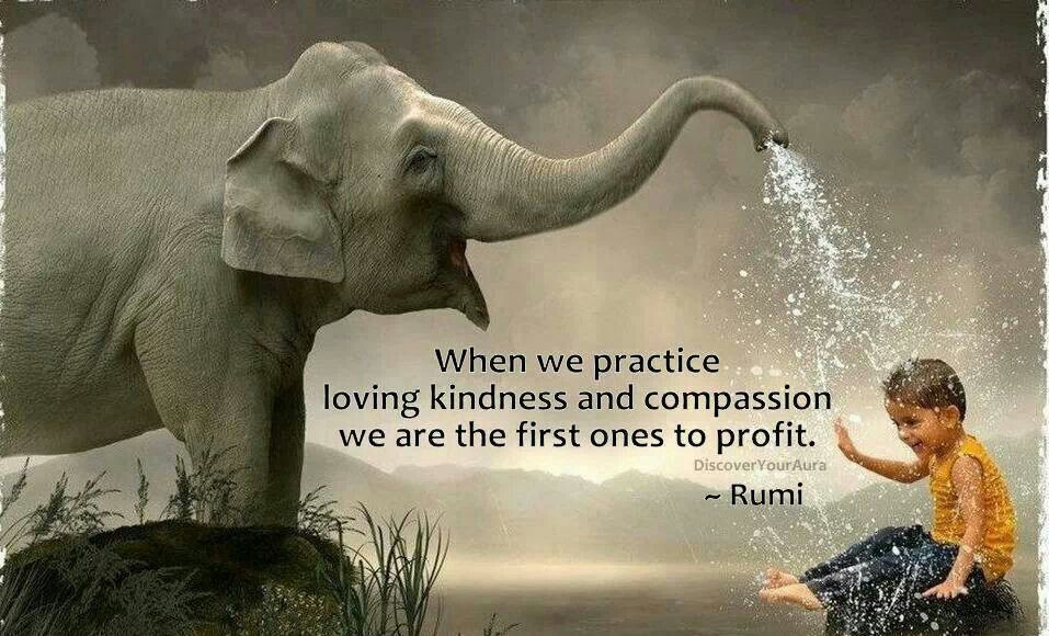 Loving Kindness Quotes
 Quotes About Kindness And passion QuotesGram