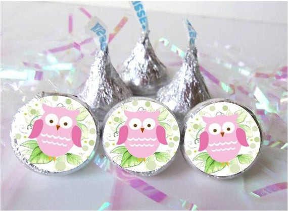 Owl Party Favors For Baby Shower
 Owl Baby Shower Favors Pink Girl Decorations Birthday Party