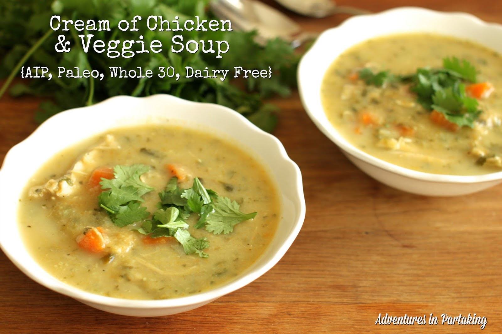 Paleo Cream Of Chicken Soup
 Cream of Chicken and Veggie Soup AIP Paleo Whole 30