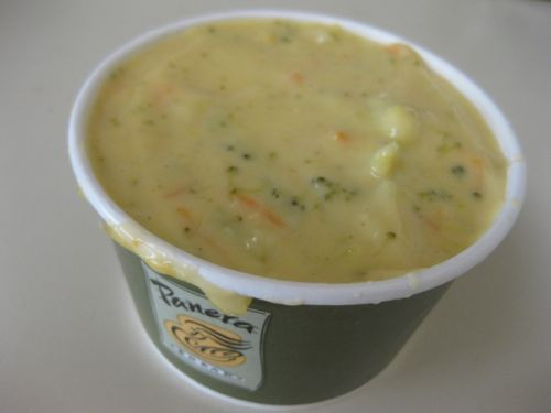 Panera Broccoli Cheddar Soup Carbs
 panera bread broccoli cheddar soup Google Search