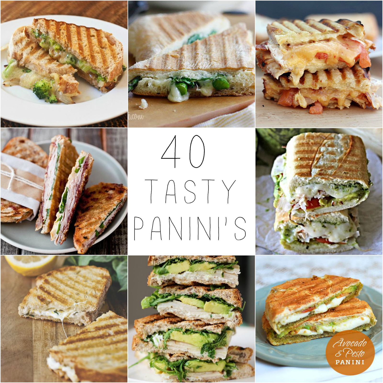 Panini Press Recipes
 40 Panini Recipes