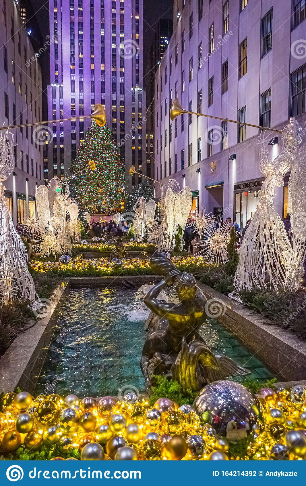 Pool City Christmas Trees
 Pool and Tree editorial photography Image of landmark