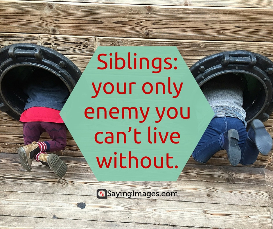 Quotes About Sibling Love
 35 Sweet and Loving Siblings Quotes