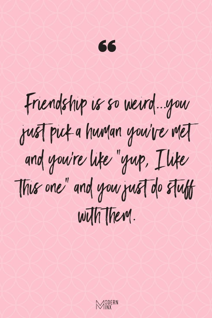 Quotes About Women Friendships
 Funny friendship quote quotes funny quote friendship