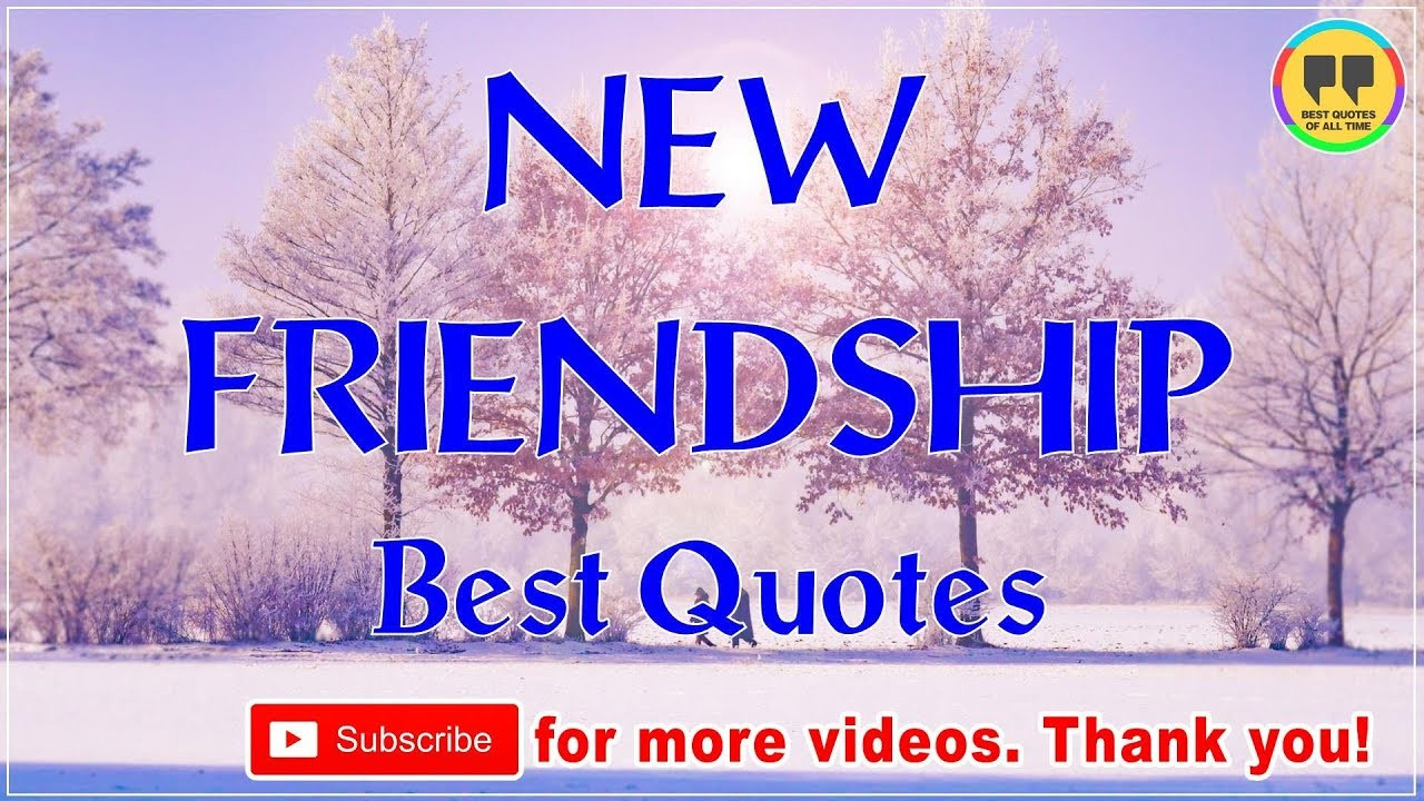 Quotes On New Friendships
 TOP 50 NEW FRIENDSHIP QUOTES Best Friendship Quotes