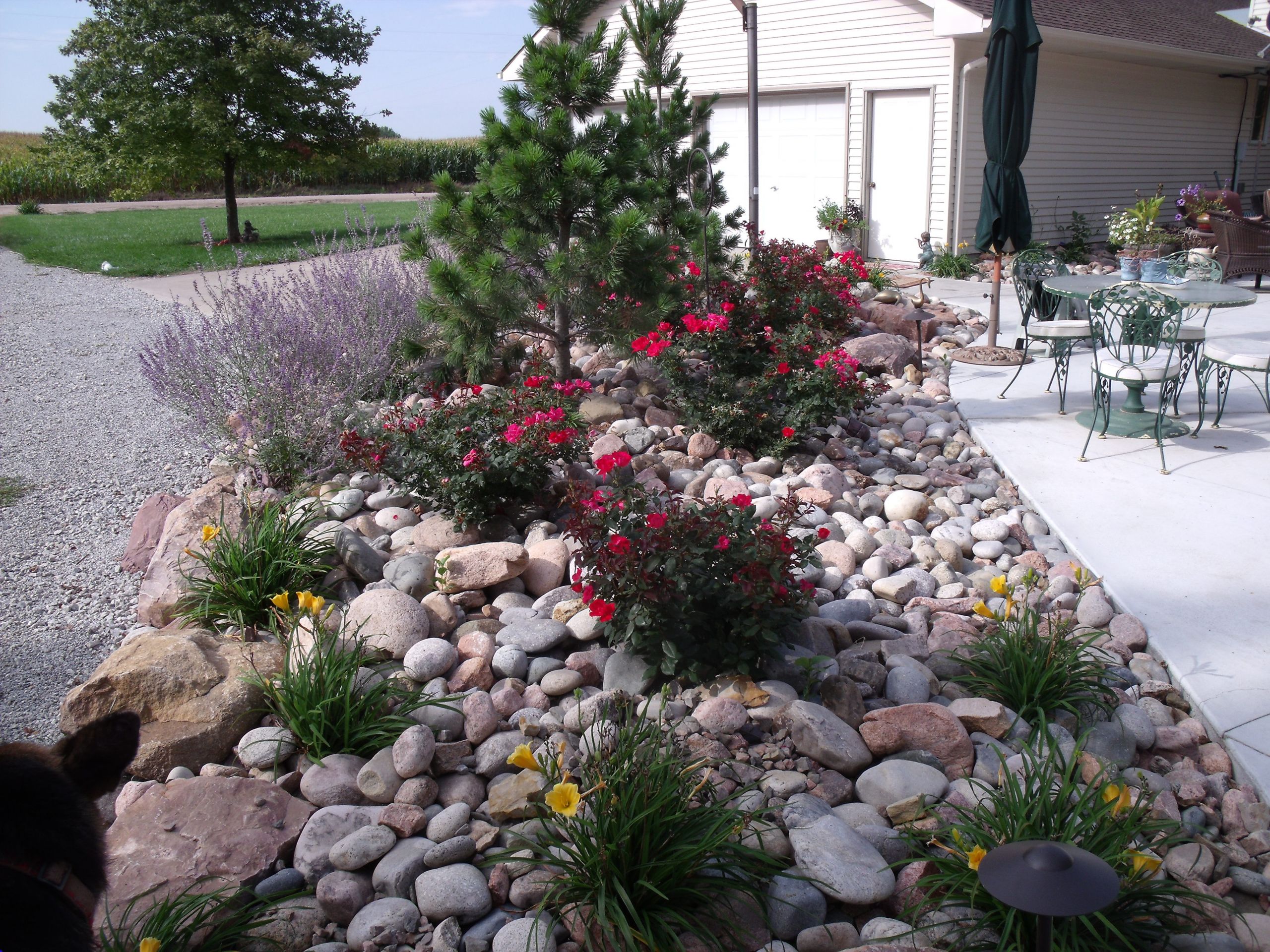 Rock Landscape Design
 Rock Garden Ideas For Your Lovely House MidCityEast