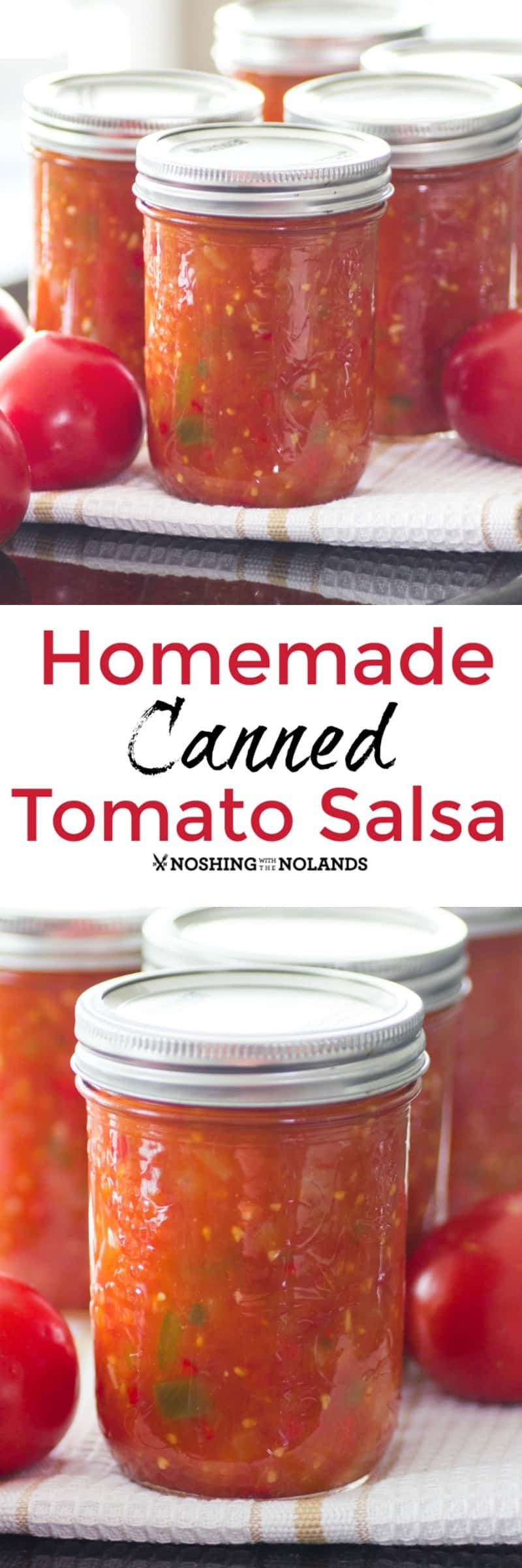 Salsa Canning Recipe
 Homemade Canned Tomato Salsa is the best with fresh summer