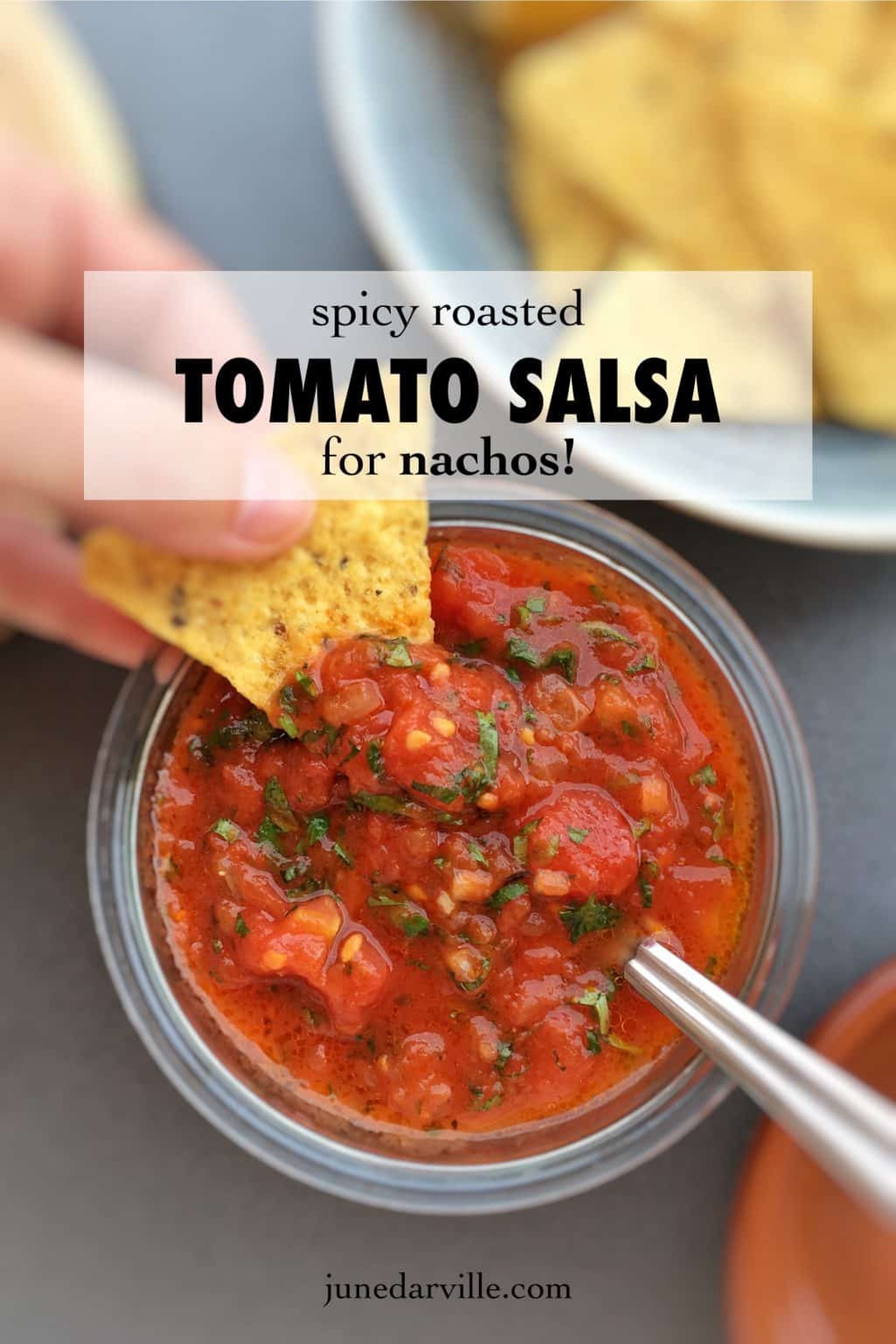 Salsa Recipe Spicy
 Spicy Roasted Tomato Salsa Recipe