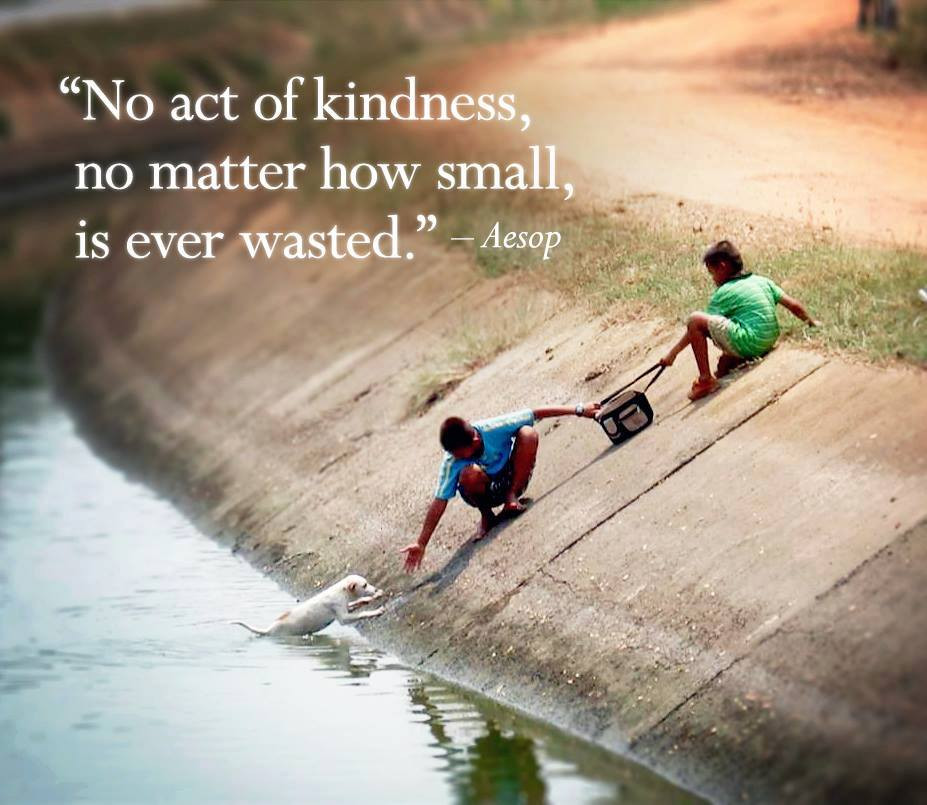 Small Acts Of Kindness Quotes
 No act of kindness no matter how small is ever wasted