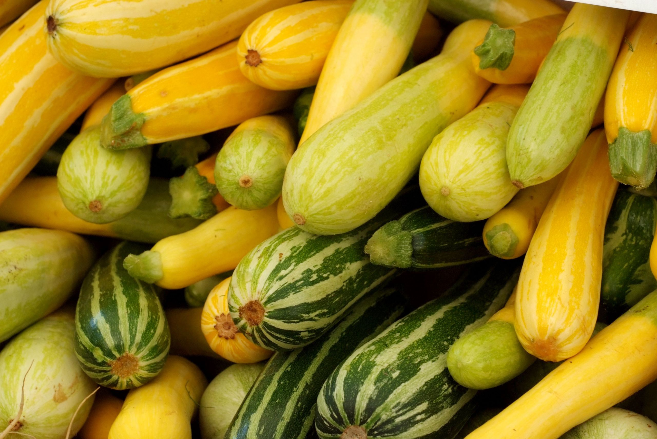 Summer Squash Nutrition
 Summer Squash and Zucchini Nutrition Facts