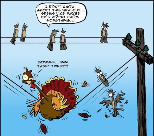 Thanksgiving Turkey Funny
 Funny Thanksgiving Jokes And Sayings Collections