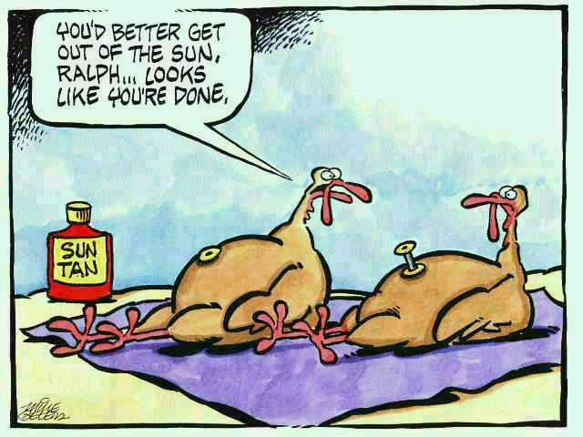 Thanksgiving Turkey Funny
 Heart 2 Heart Friday Funnies Just in Time For Thanksgiving