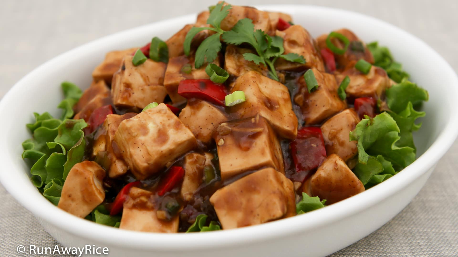 Tofu Sauce Recipes
 Tofu in Black Bean Sauce Quick and Easy Recipe with Video