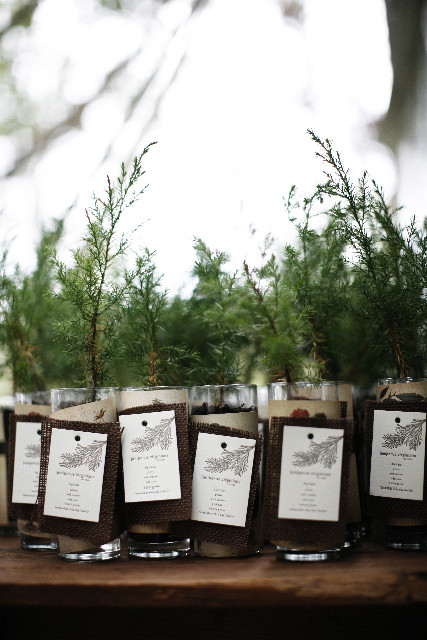 Tree Wedding Favors
 5 Wedding Favours Your Guests Will Want to Hold To No