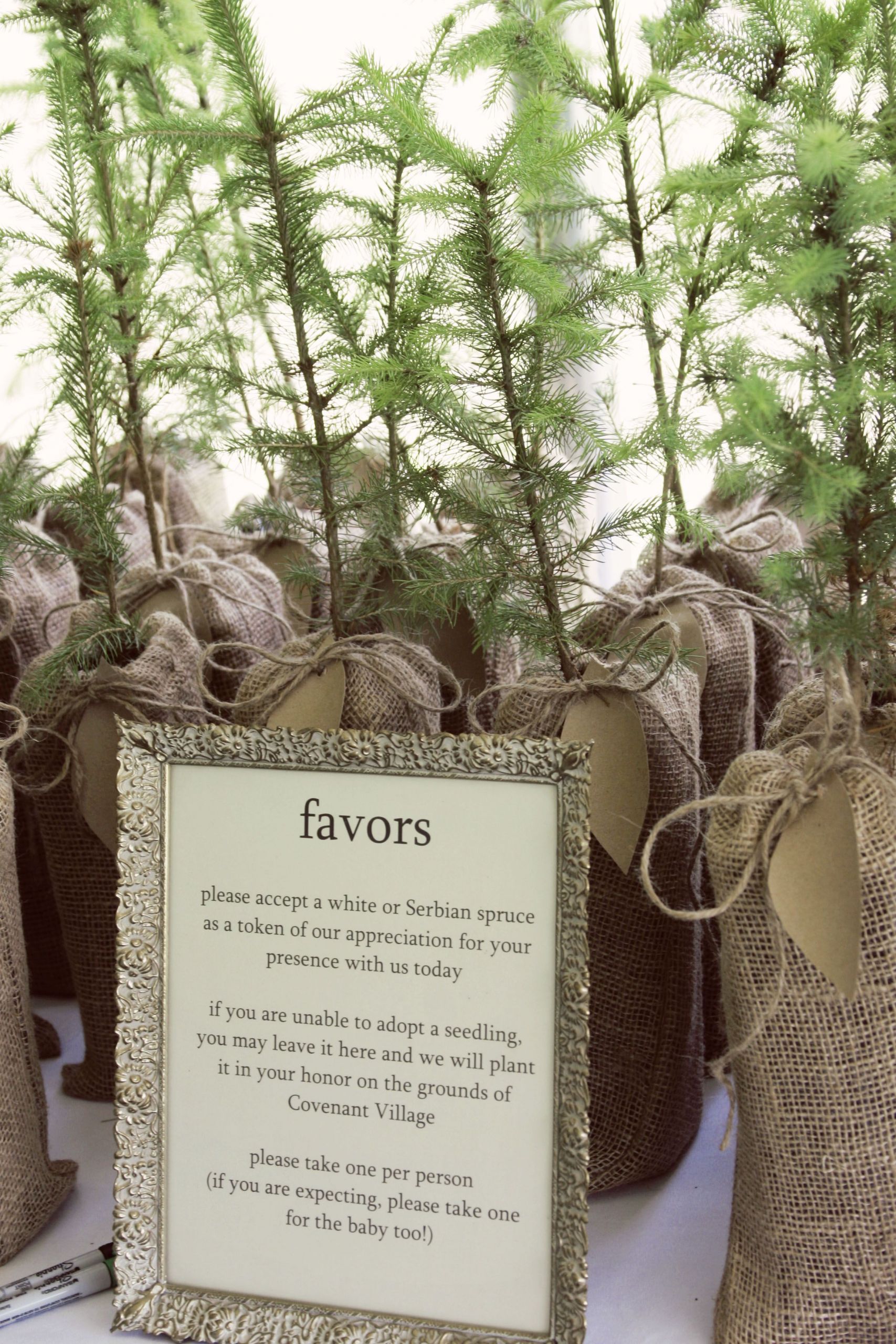 Tree Wedding Favors
 plant a tree wedding party favors mmmm order from the