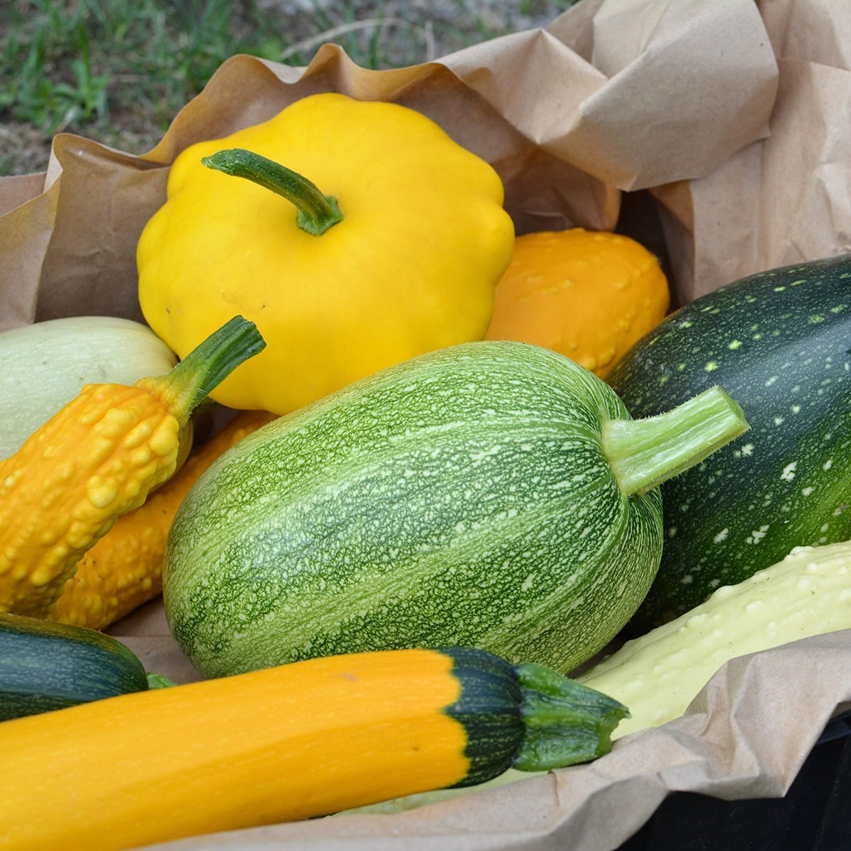 Types Of Summer Squash
 8 Types of Summer Squash and How to Cook Them