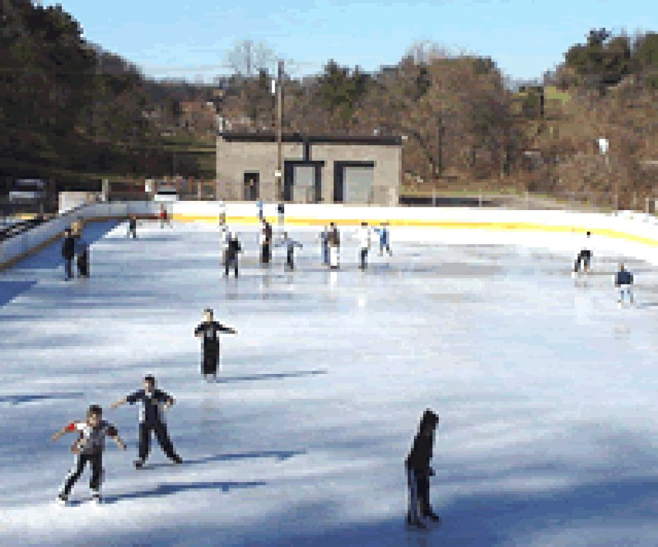 Winter Activities In Pittsburgh
 From the Wintergarden to Ice Skating Winter Activities in