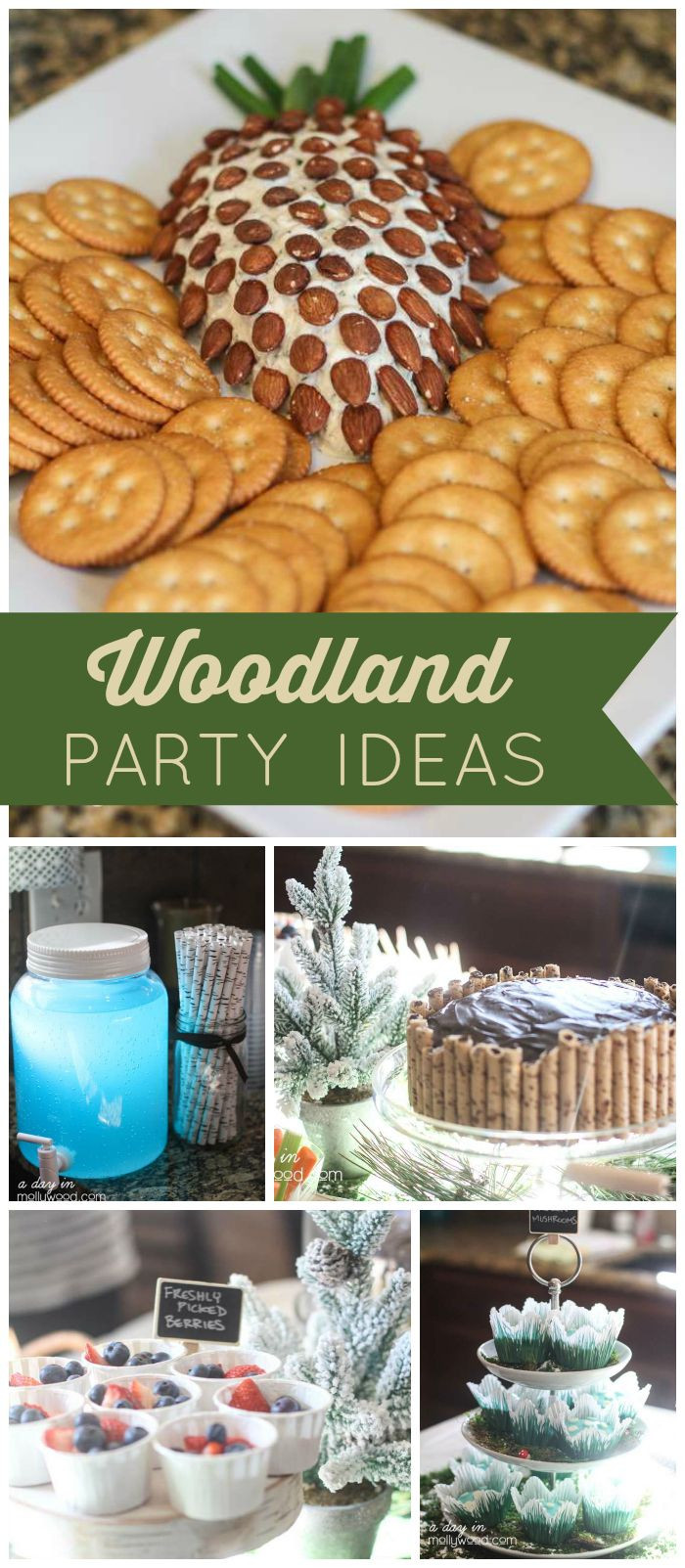 Woodland Birthday Party Food Ideas
 What a lovely winter woodland first birthday party Fun
