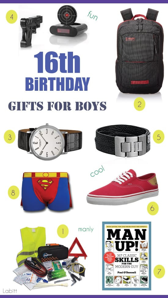 16 Year Old Boy Birthday Gift Ideas
 8 Gift Ideas for 16 Year Old Boys [Surprise Your Teen Boy
