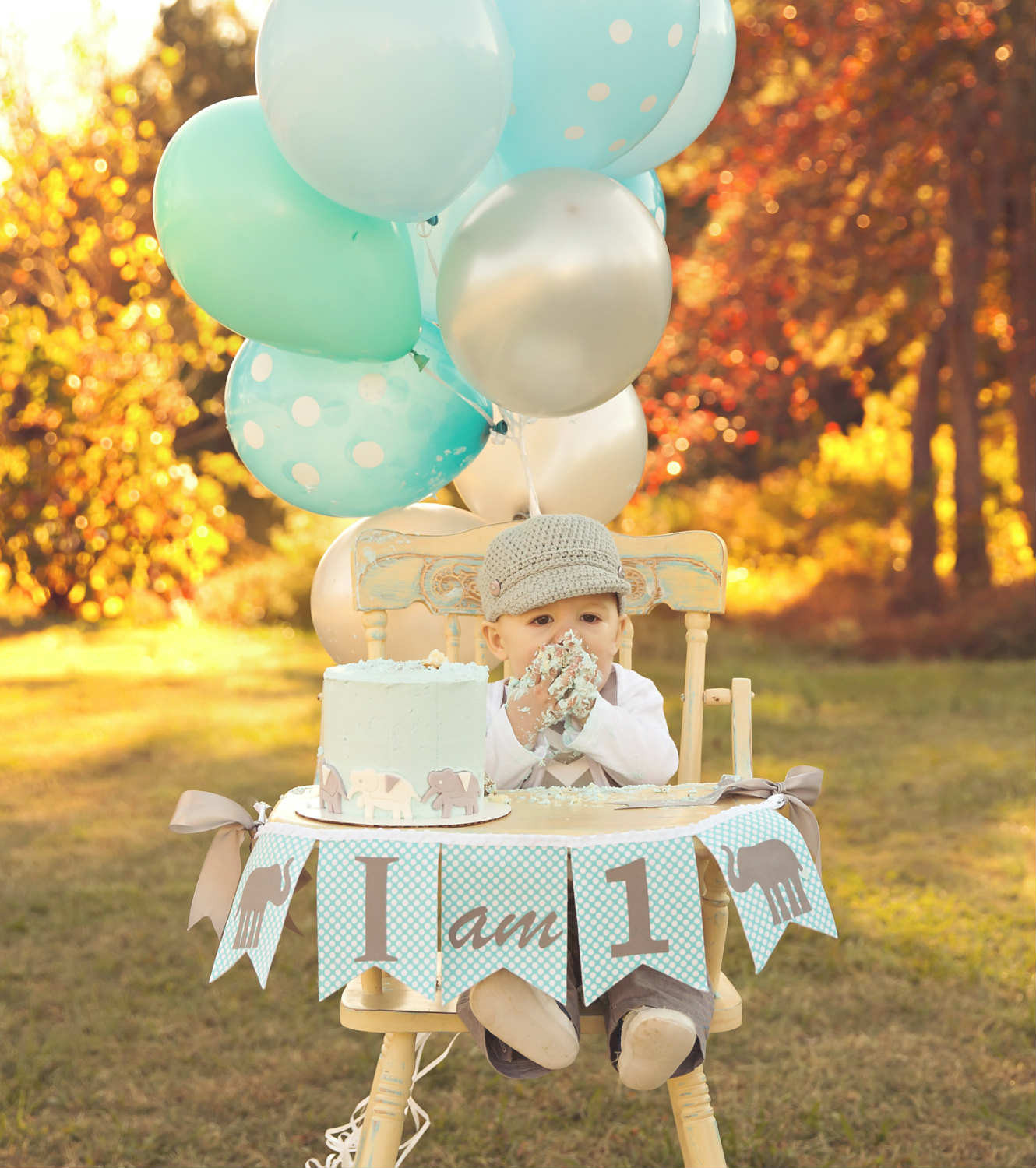 1st Birthday Boy Decorations
 10 1st Birthday Party Ideas for Boys Part 2 Tinyme Blog