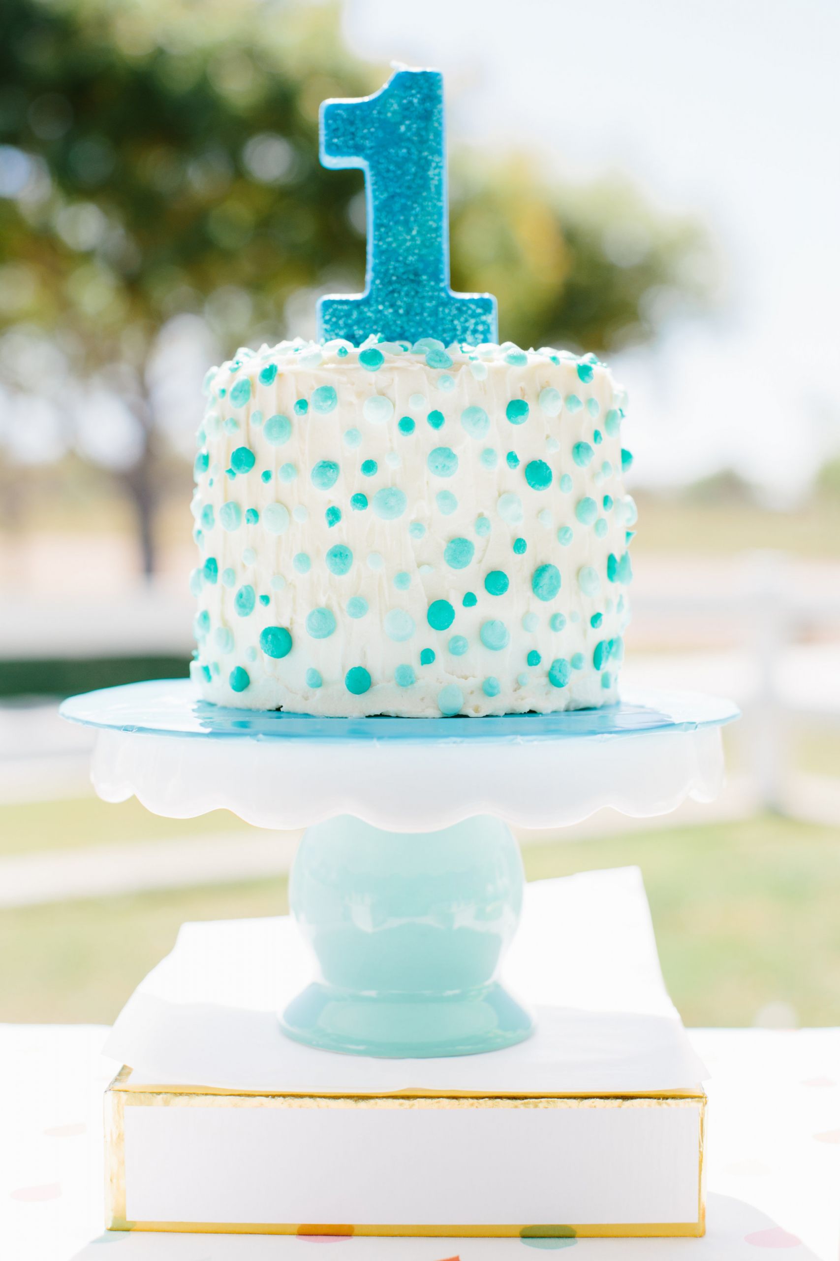 1st Birthday Cake Boy
 A First Birthday Picnic in the Park Project Nursery