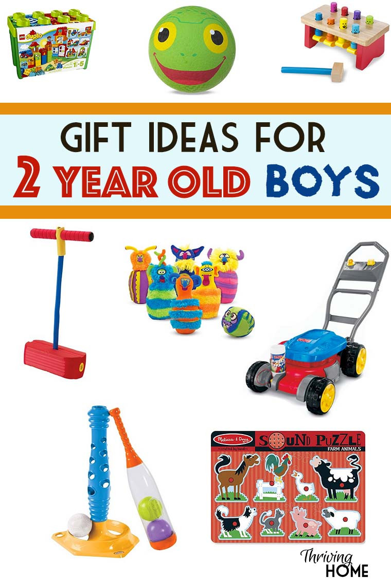 2 Year Old Birthday Gift
 Gift Ideas for a Two Year Old Boy
