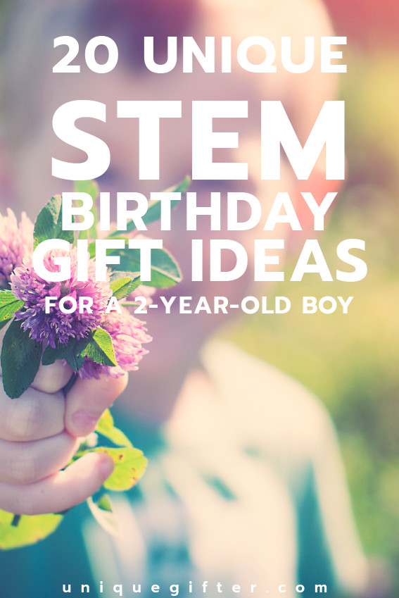 2Nd Birthday Boy Gift Ideas
 20 STEM Birthday Gift Ideas for a 2 Year Old Boy