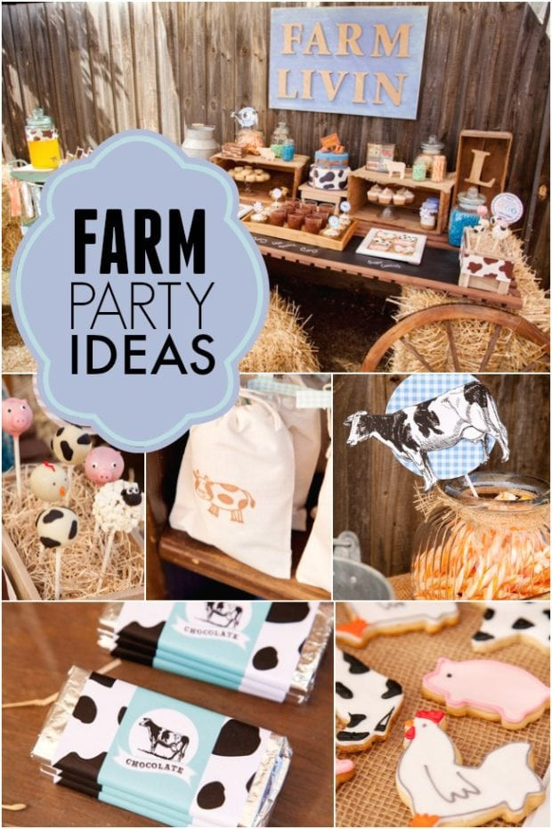 2Nd Birthday Party Ideas For Boy
 A Precious Farm Themed Boy s 2nd Birthday Party