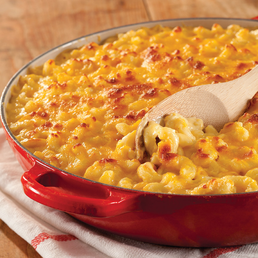 3 Cheese Baked Macaroni And Cheese Recipe
 Extra Cheesy Macaroni and Cheese Taste of the South