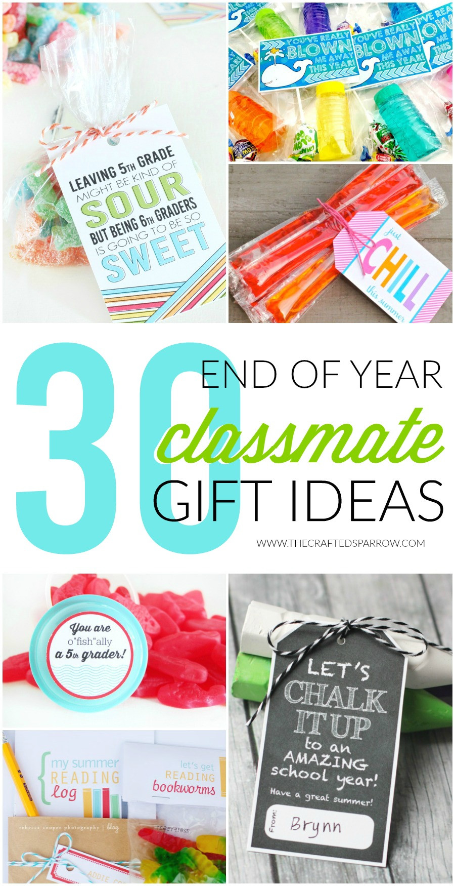 6Th Grade Christmas Party Ideas
 30 End of Year Class Gift Ideas