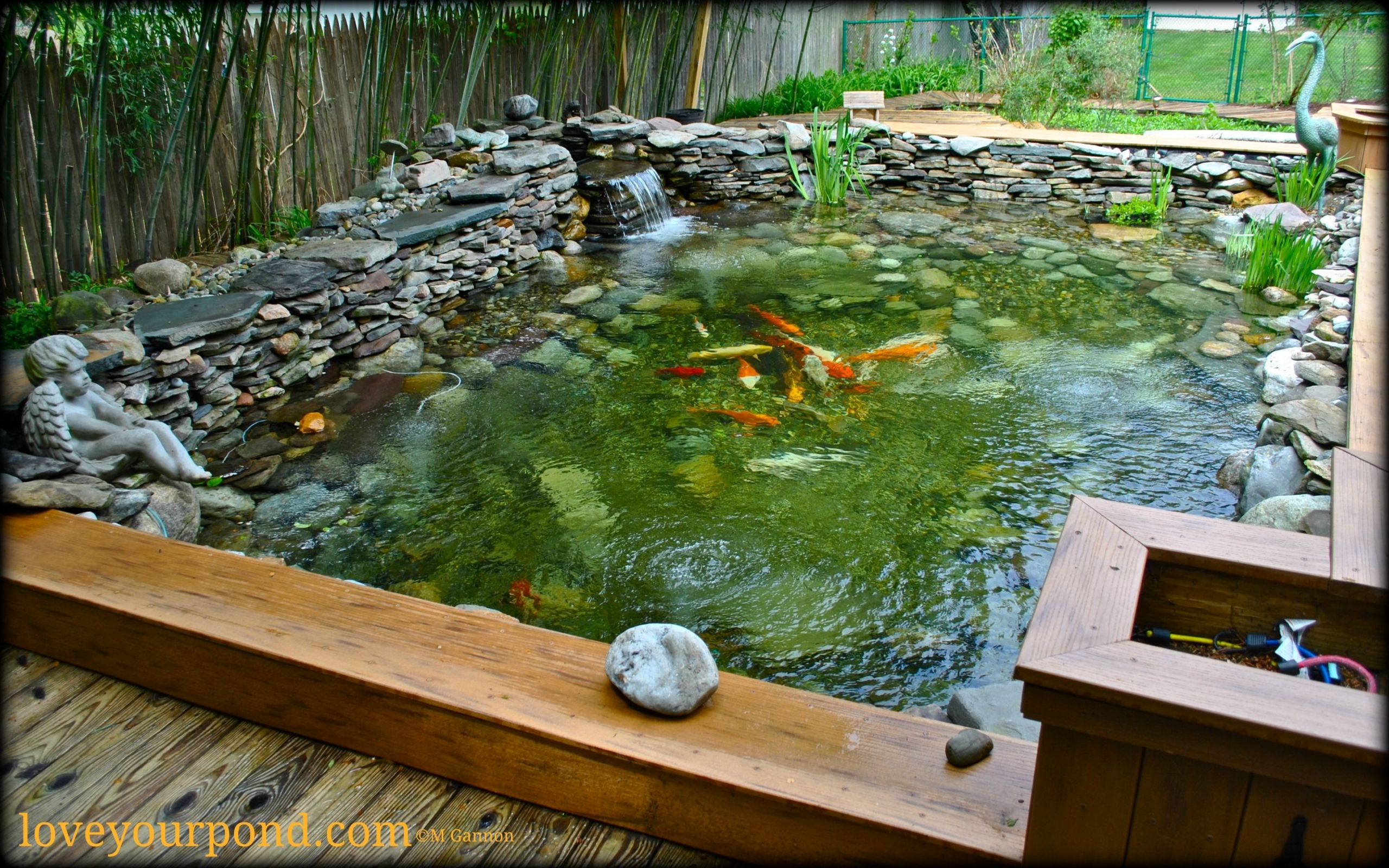 30 Incredible Above Ground Koi Pond Kits - Home, Family, Style and Art