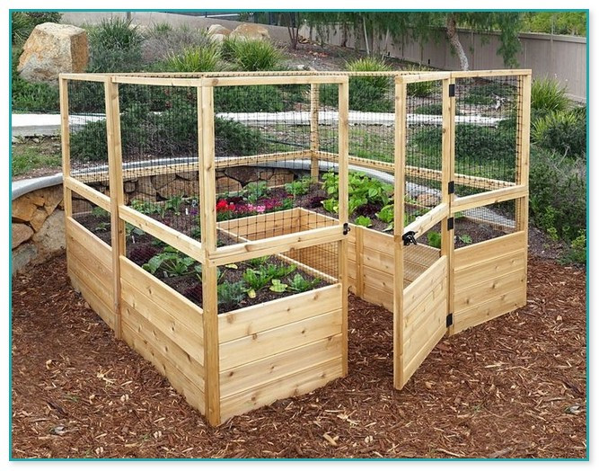 Above Ground Vegetable Garden
 Raised Bed Ve able Garden Layout Plans