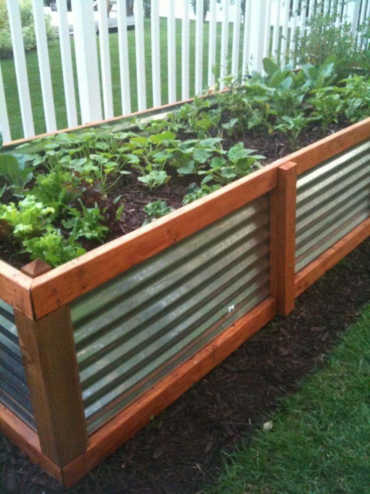 Above Ground Vegetable Garden
 Gardening Tips Pt I DIY Raised Beds
