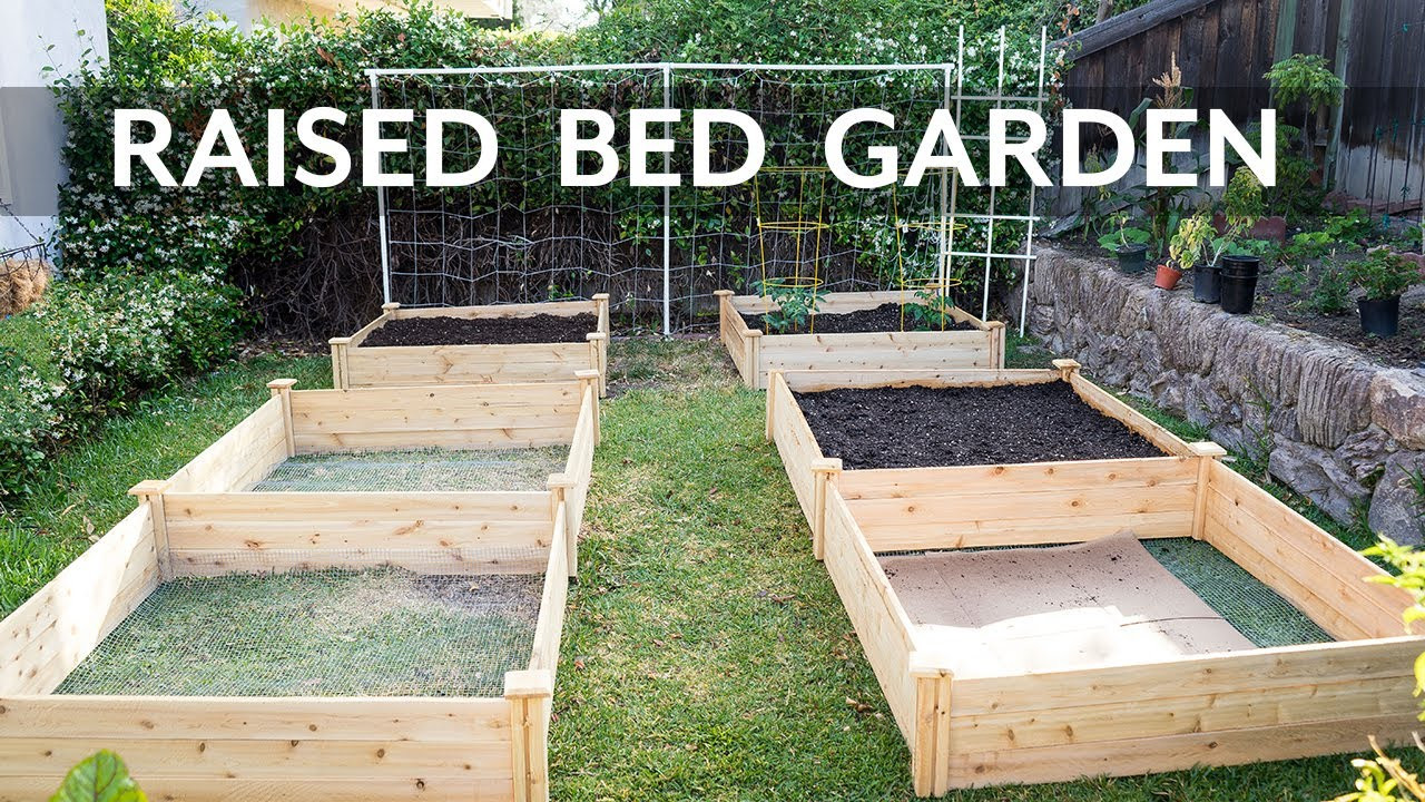 Above Ground Vegetable Garden
 Raised Bed Gardening How To Start A Garden With Raised