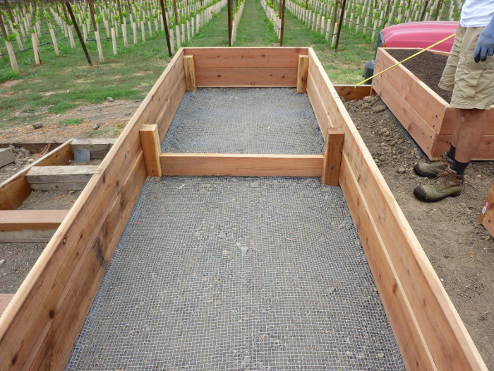 Above Ground Vegetable Garden
 Savvy Housekeeping All About Raised Beds
