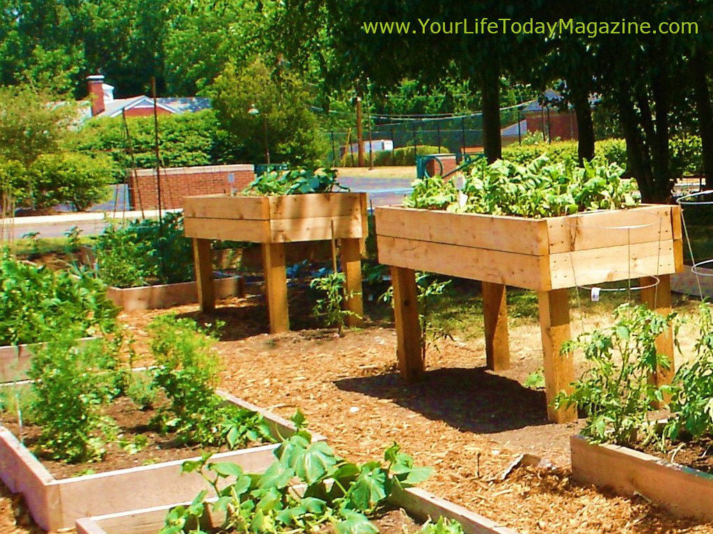 Above Ground Vegetable Garden
 Raised Garden Beds Designs You Can Finish in Less than a