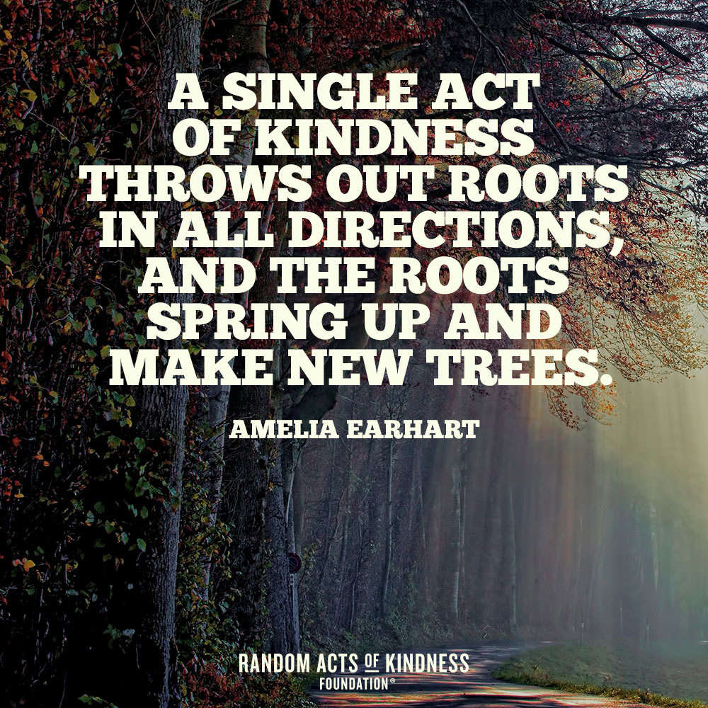 Acts Of Kindness Quotes
 Random Acts of Kindness Kindness Quote