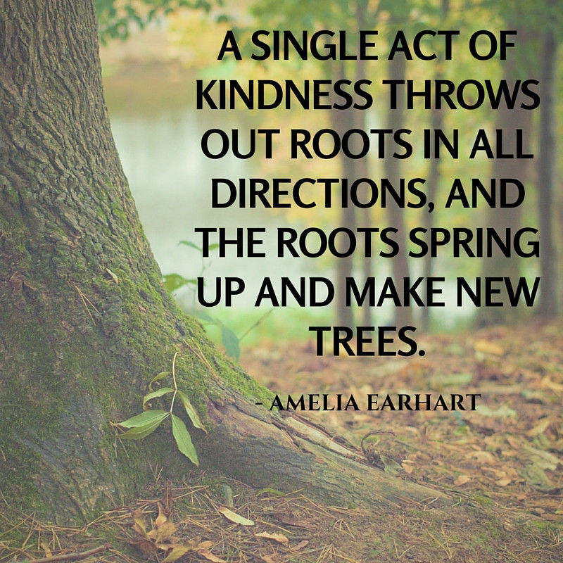 Acts Of Kindness Quotes
 Being Kind Quotes