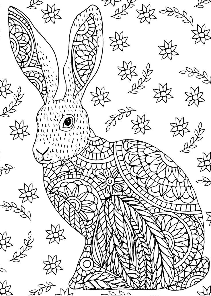 Adult Coloring Book Amazon
 Amazon Woodland Friends Portable Adult Coloring Book