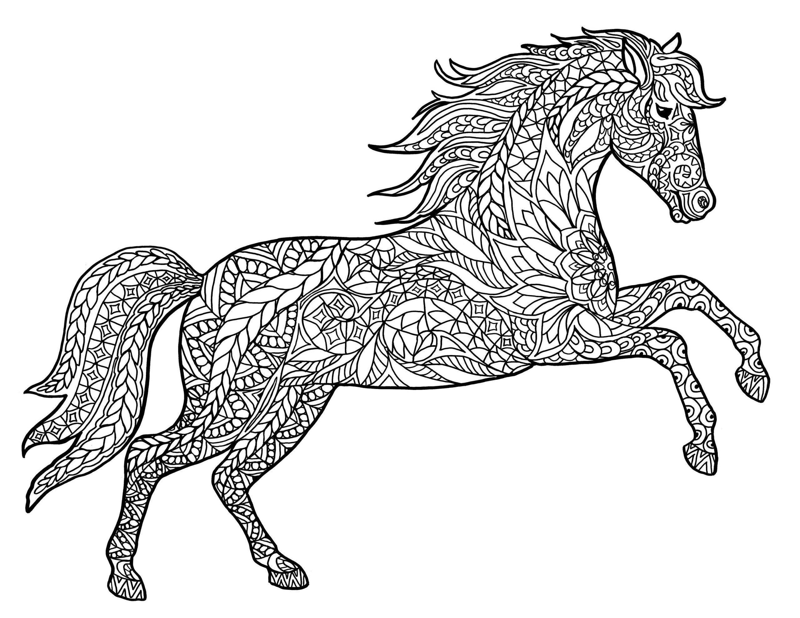 Adult Coloring Book Horse
 Animal Coloring Pages for Adults Best Coloring Pages For
