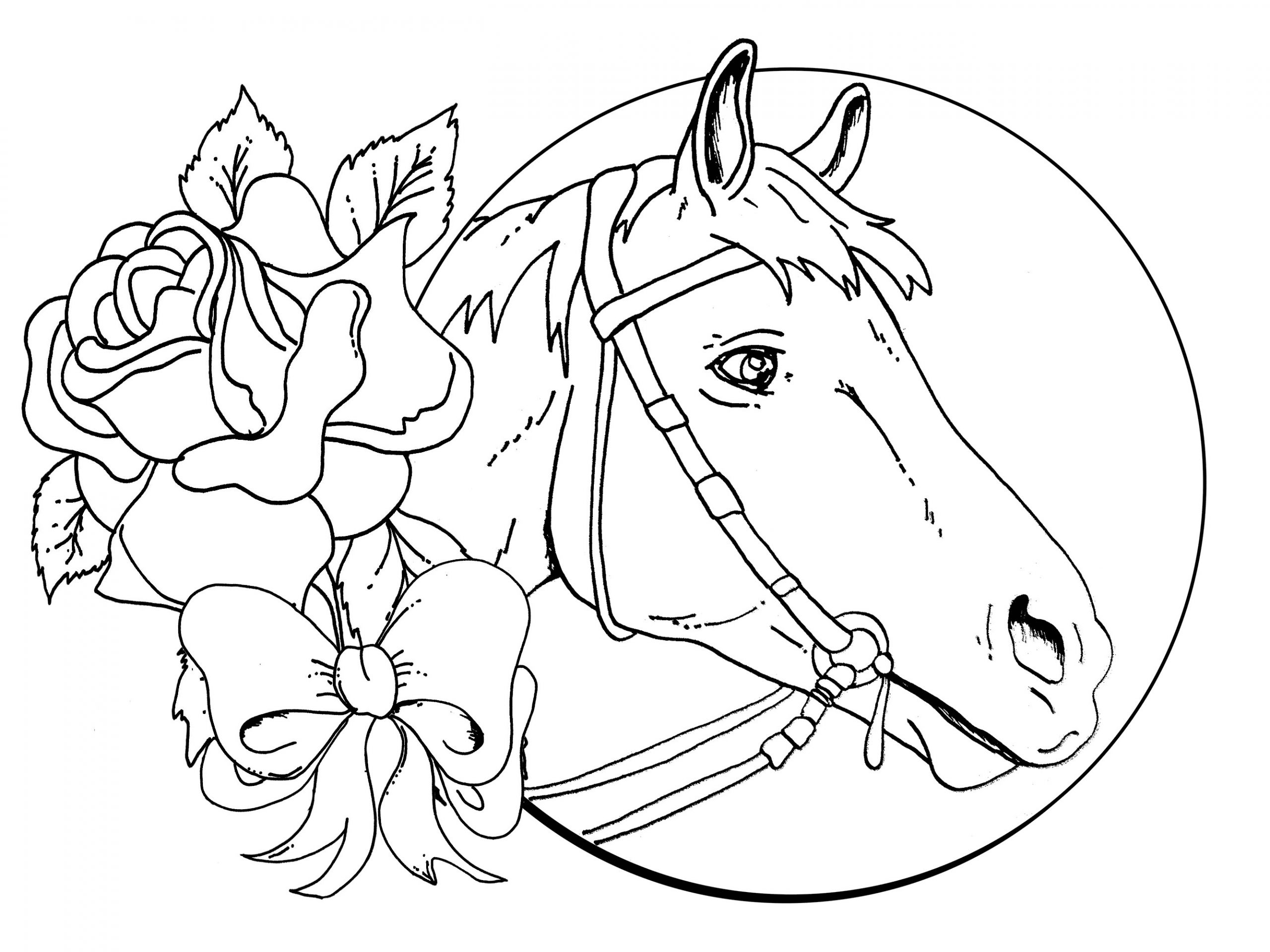 Adult Coloring Book Horse
 Free Horse Coloring Pages For Adults Charming Horse