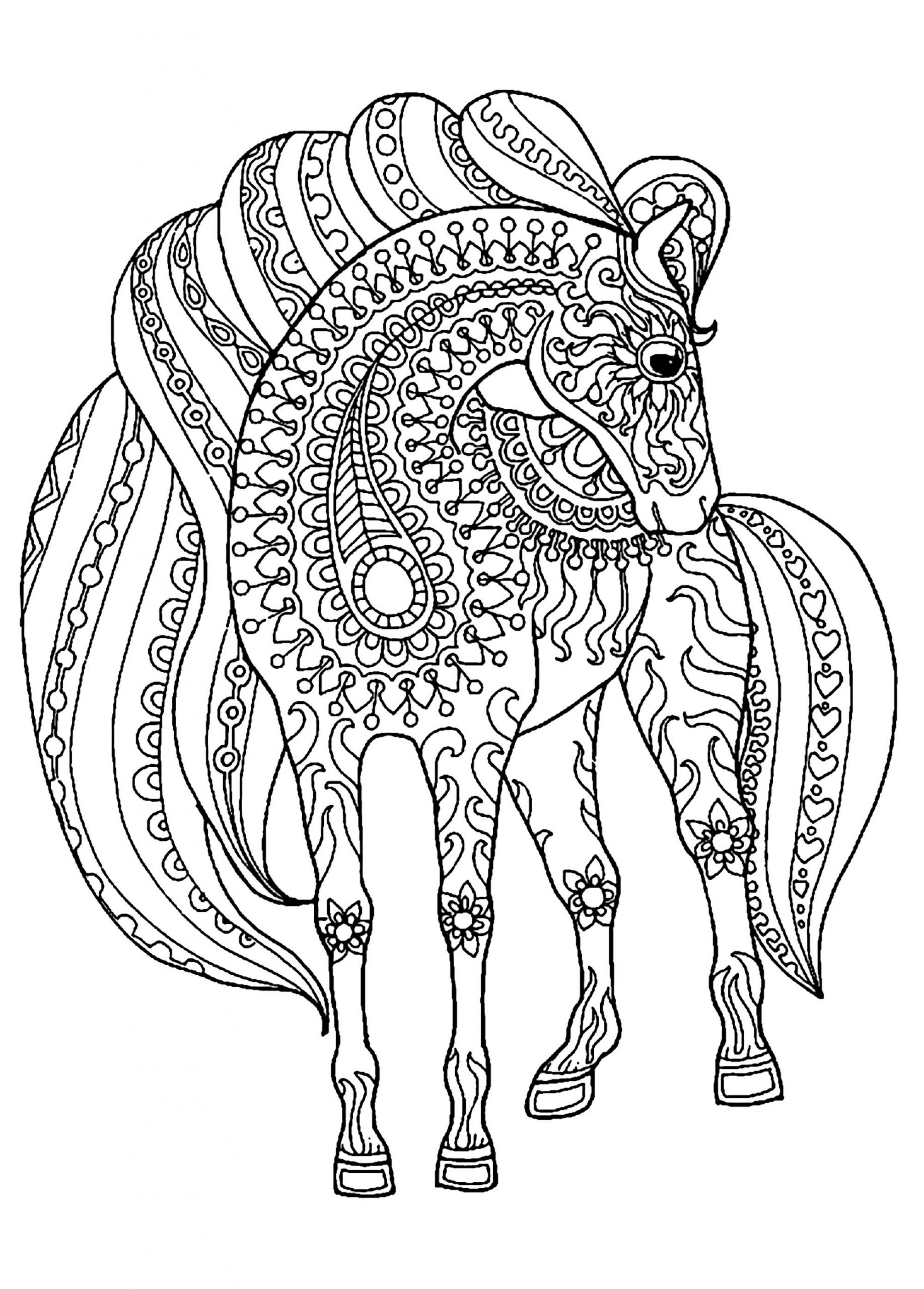 Adult Coloring Book Horse
 Horse simple zentangle patterns Horses Adult Coloring Pages