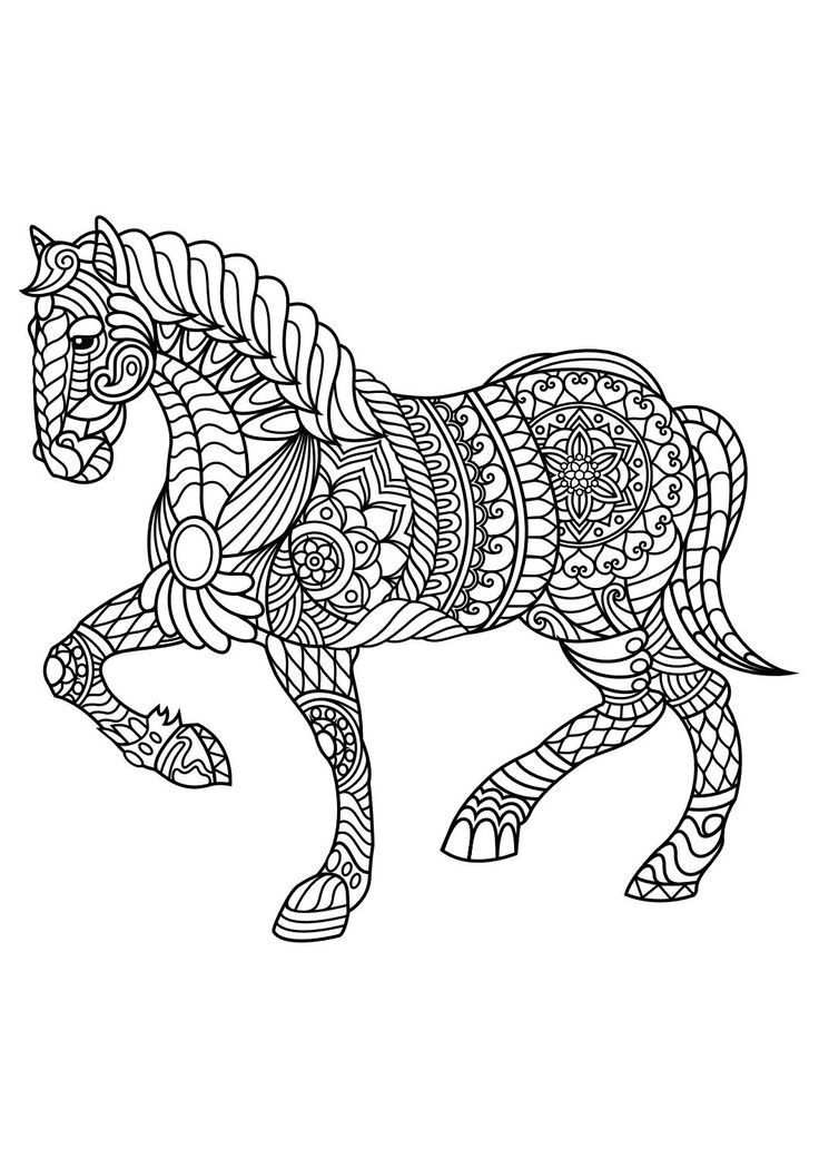 Adult Coloring Book Horse
 429 best images about Horses Coloring For Adults Art Pages