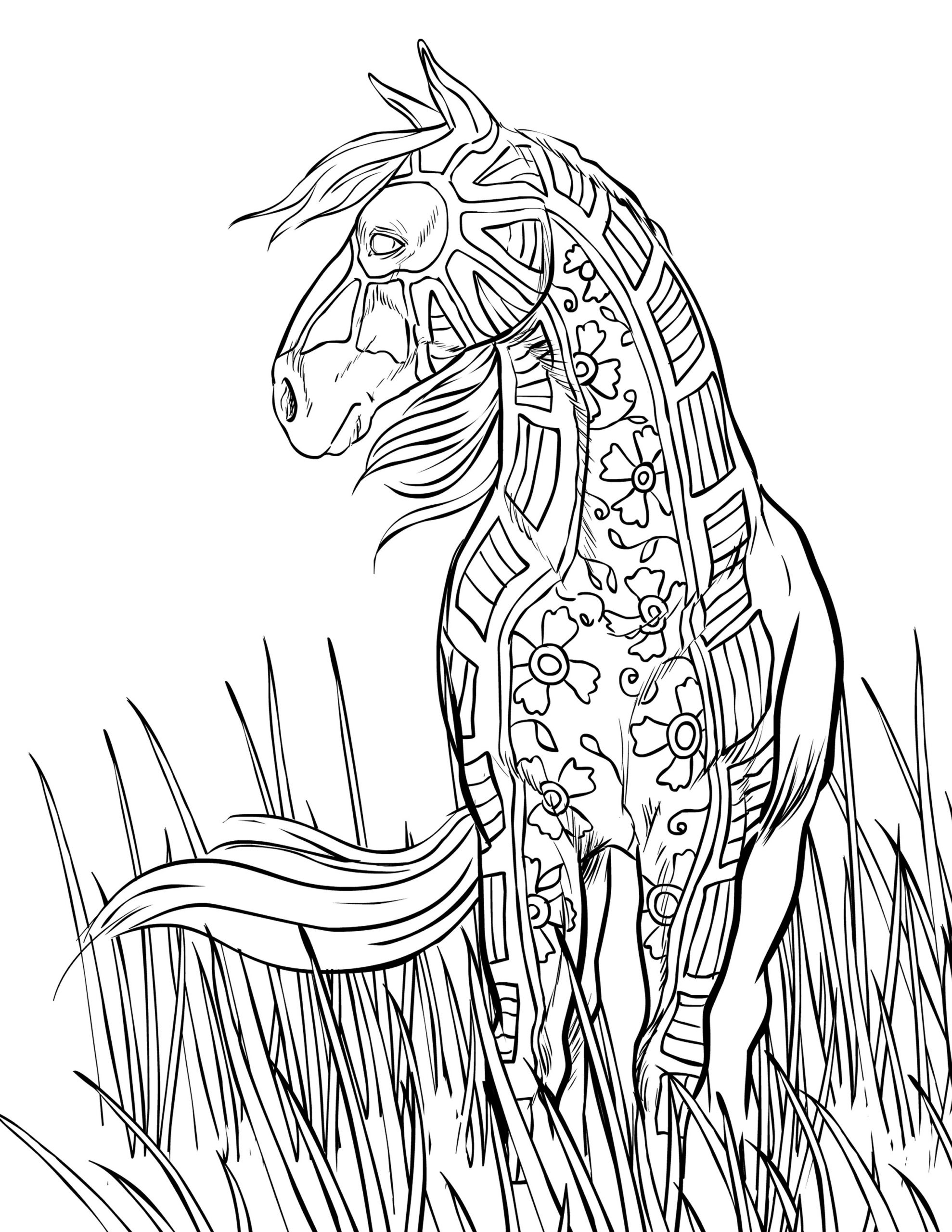 Adult Coloring Book Horse
 FREE HORSE COLORING PAGES