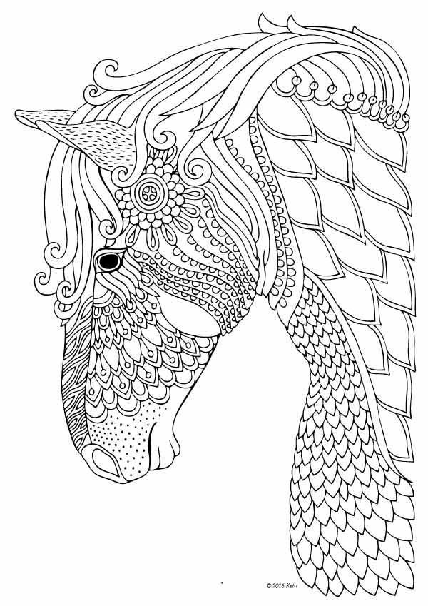 Adult Coloring Book Horse
 Horse Coloring Books